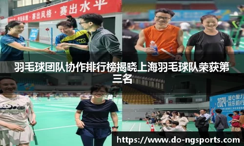 羽毛球团队协作排行榜揭晓上海羽毛球队荣获第三名